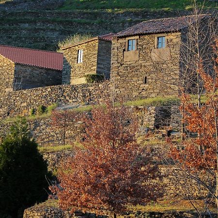 Vila Cardenha Do Douro Mesão Frio Pokoj fotografie