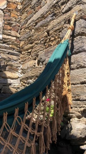 Vila Cardenha Do Douro Mesão Frio Exteriér fotografie
