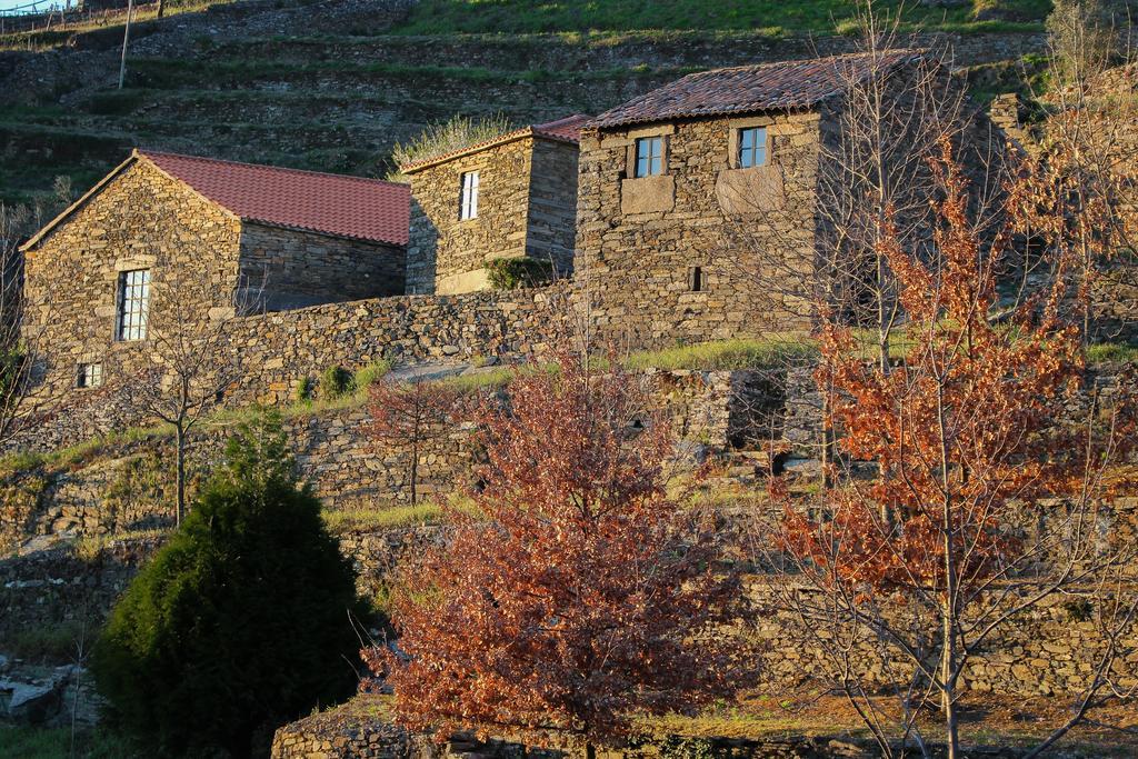 Vila Cardenha Do Douro Mesão Frio Pokoj fotografie